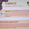 Vrbice